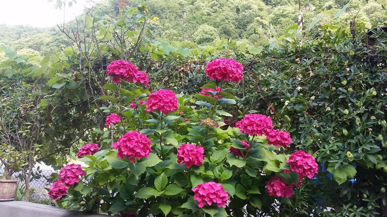 Guest House Ahan 加格拉 外观 照片
